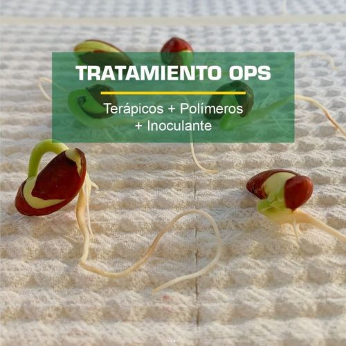 Tratamiento_OPS_Terapicos_Polimeros_Inoculante_Brote_Raiz_Exito